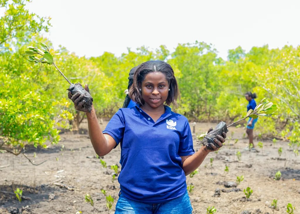 Restoring Bagamoyo's mangroves and seagrass meadows. Image Credit: Ma Earth. Restoring Bagamoyo's mangroves and seagrass meadows. Image Credit: Ma Earth.