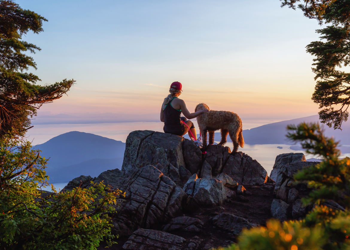 Always pick up after your pup too—dog waste is not native to most ecosystems and can disrupt wild habitats. Image Credit: Edb3_16 from Getty Images, Canva Pro. Always pick up after your pup too—dog waste is not native to most ecosystems and can disrupt wild habitats. Image Credit: Edb3_16 from Getty Images, Canva Pro.