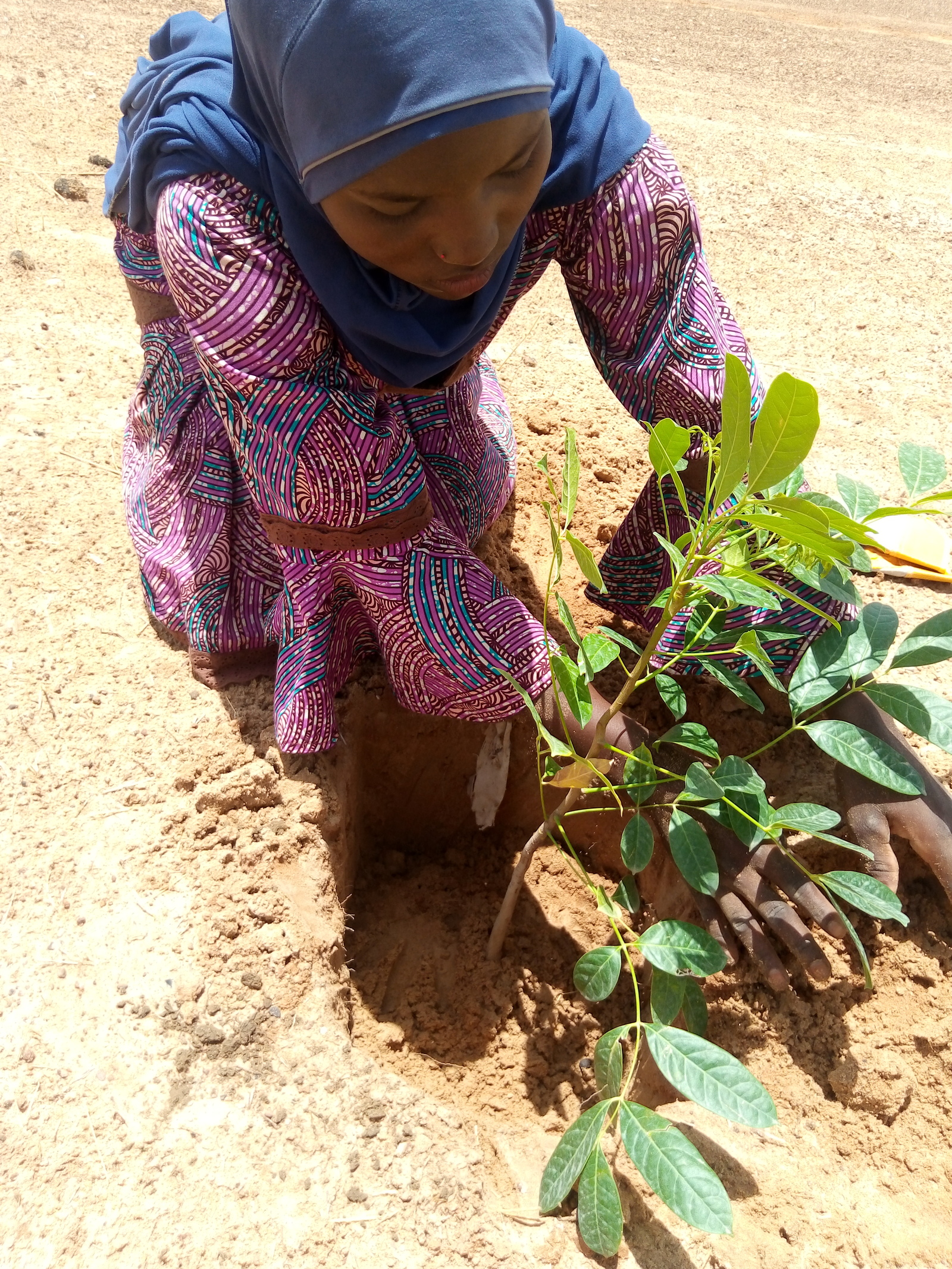 Image Credit: Sahara Sahel Foods. Image Credit: Sahara Sahel Foods.