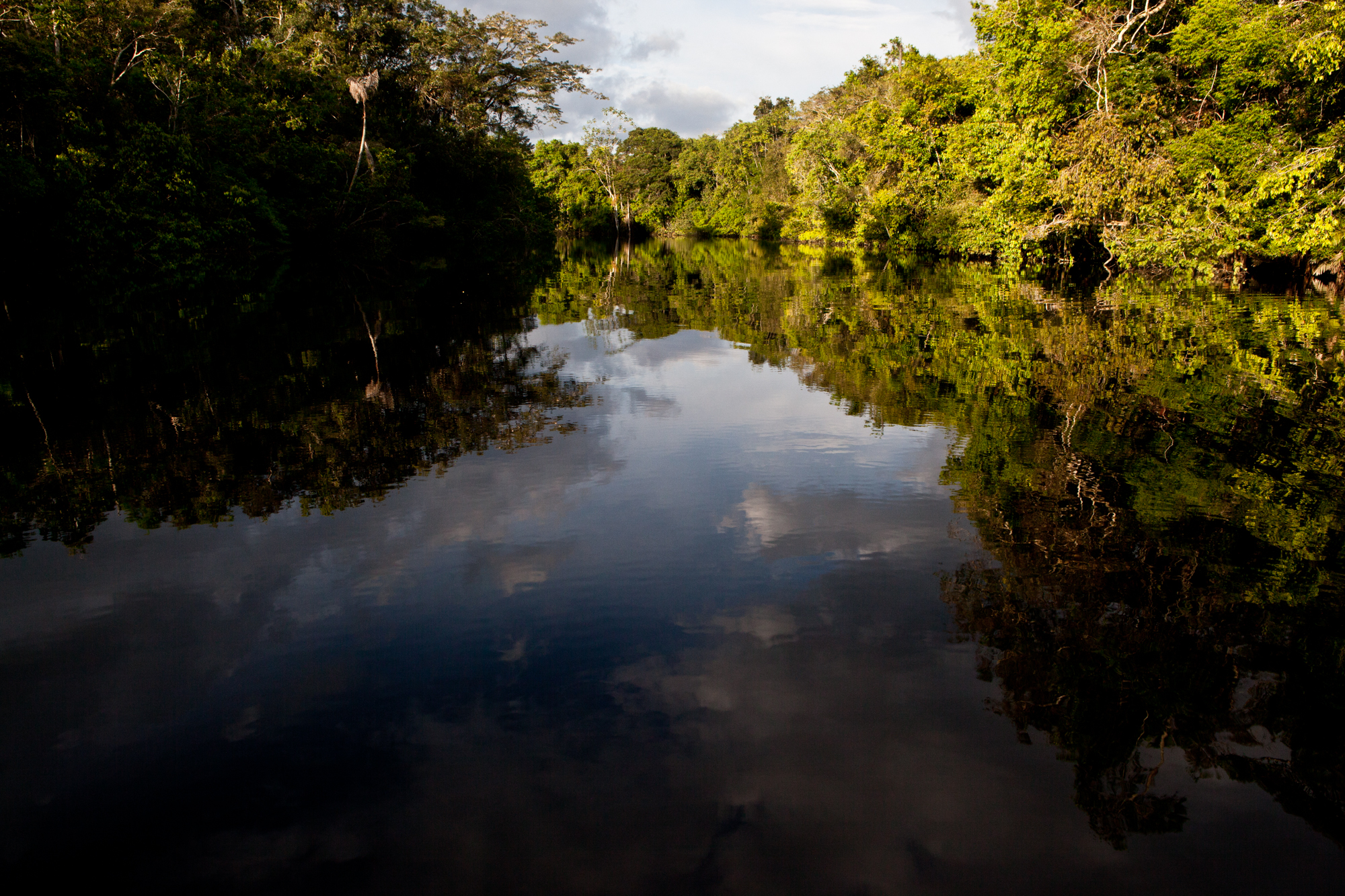 Reclaiming Pë’këya will protect over 100,000 acres of pristine Amazonia. Image Credit: Amazon Frontlines. Reclaiming Pë’këya will protect over 100,000 acres of pristine Amazonia. Image Credit: Amazon Frontlines.