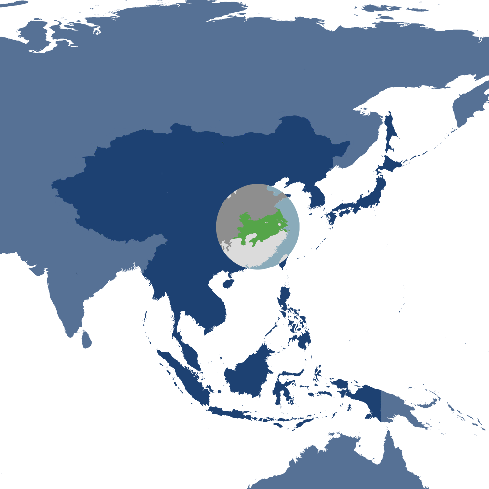 Chang Jiang Plain Evergreen Forests bioregion (PA50) located in the Central East Asian Forests subrealm of Eastern Eurasia. Image Credit: One Earth. Chang Jiang Plain Evergreen Forests bioregion (PA50) located in the Central East Asian Forests subrealm of Eastern Eurasia. Image Credit: One Earth.