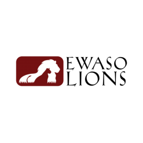 Ewaso Lions