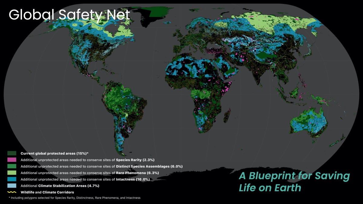 Laters of the Global Safety Net: A Blueprint for Saving Life on Earth Laters of the Global Safety Net: A Blueprint for Saving Life on Earth