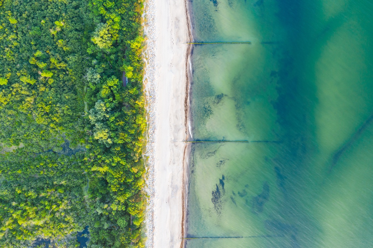 sea, beach and mangroves By Artur Golbert AdobeStock_288381277 sea, beach and mangroves By Artur Golbert