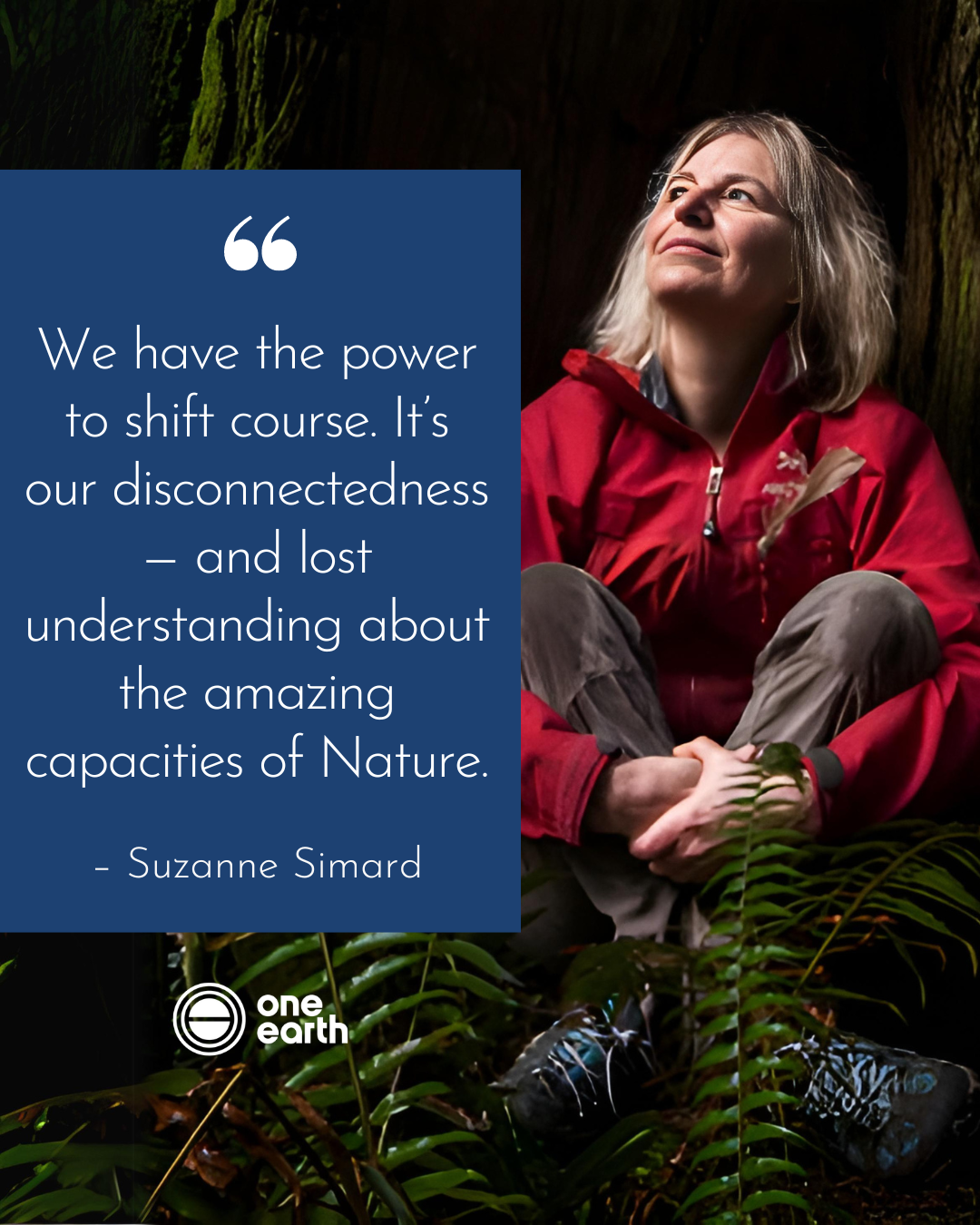 Suzanne Simard's research is guided by her deep connection to the land and her time spent amongst the trees. Image Credit: The Mother Tree Project. Suzanne Simard's research is guided by her deep connection to the land and her time spent amongst the trees. Image Credit: The Mother Tree Project.