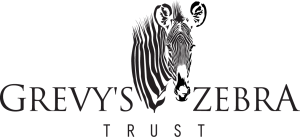 Grevy's Zebra Trust