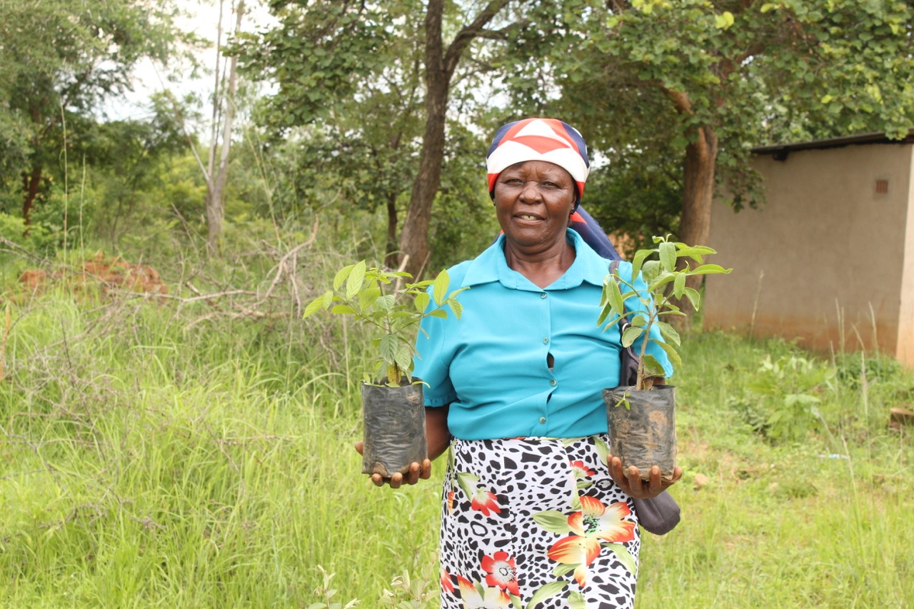 community receiving indigenous trees for planting. Image credit Courtesy of Research and Education for Sustainable Actions.jpeg Community receiving trees for planting. Image credit: Courtesy of Research and Education for Sustainable Actions.