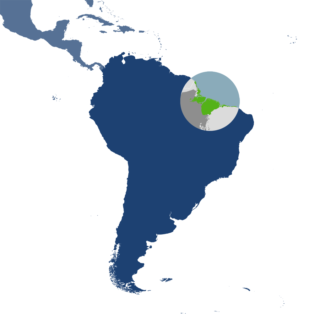 The Amazon River Estuary bioregion (NT16), located in the Amazonia subrealm of Southern America. The Amazon River Estuary bioregion (NT16), located in the Amazonia subrealm of Southern America.