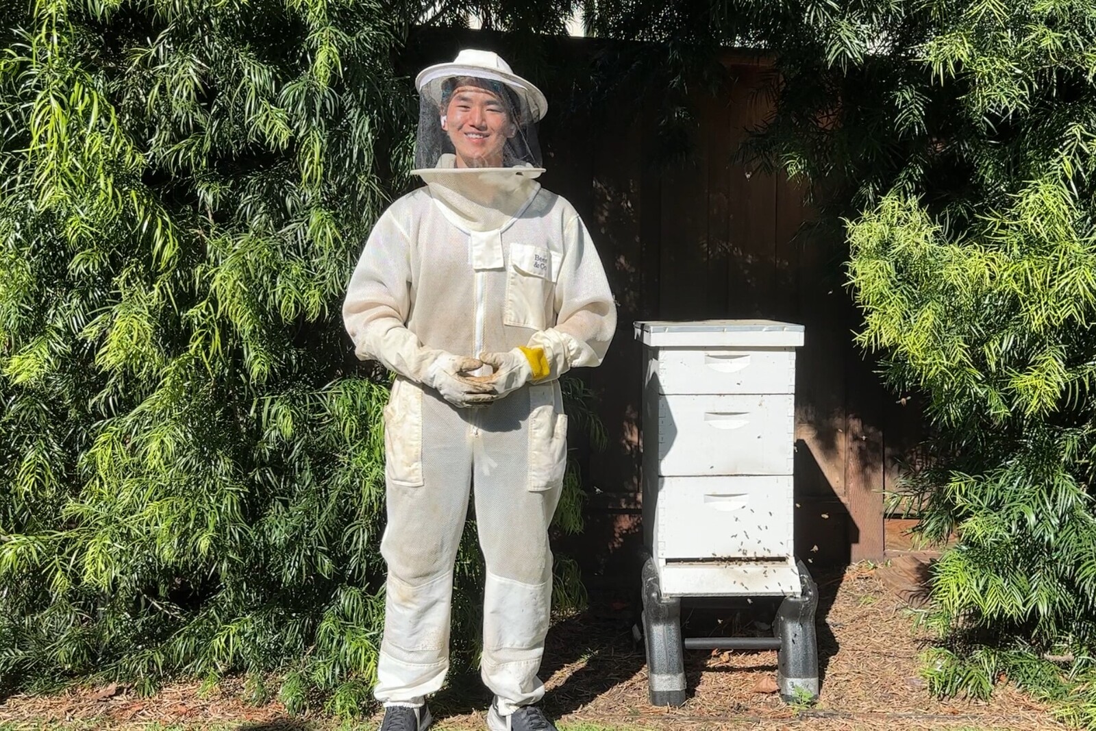 Vince Wu, from the solo team HiveHealthy, standing by his honeybee hives. Image Credit: The Earth Prize. Vince Wu, from the solo team HiveHealthy, standing by his honeybee hives. Image Credit: The Earth Prize.