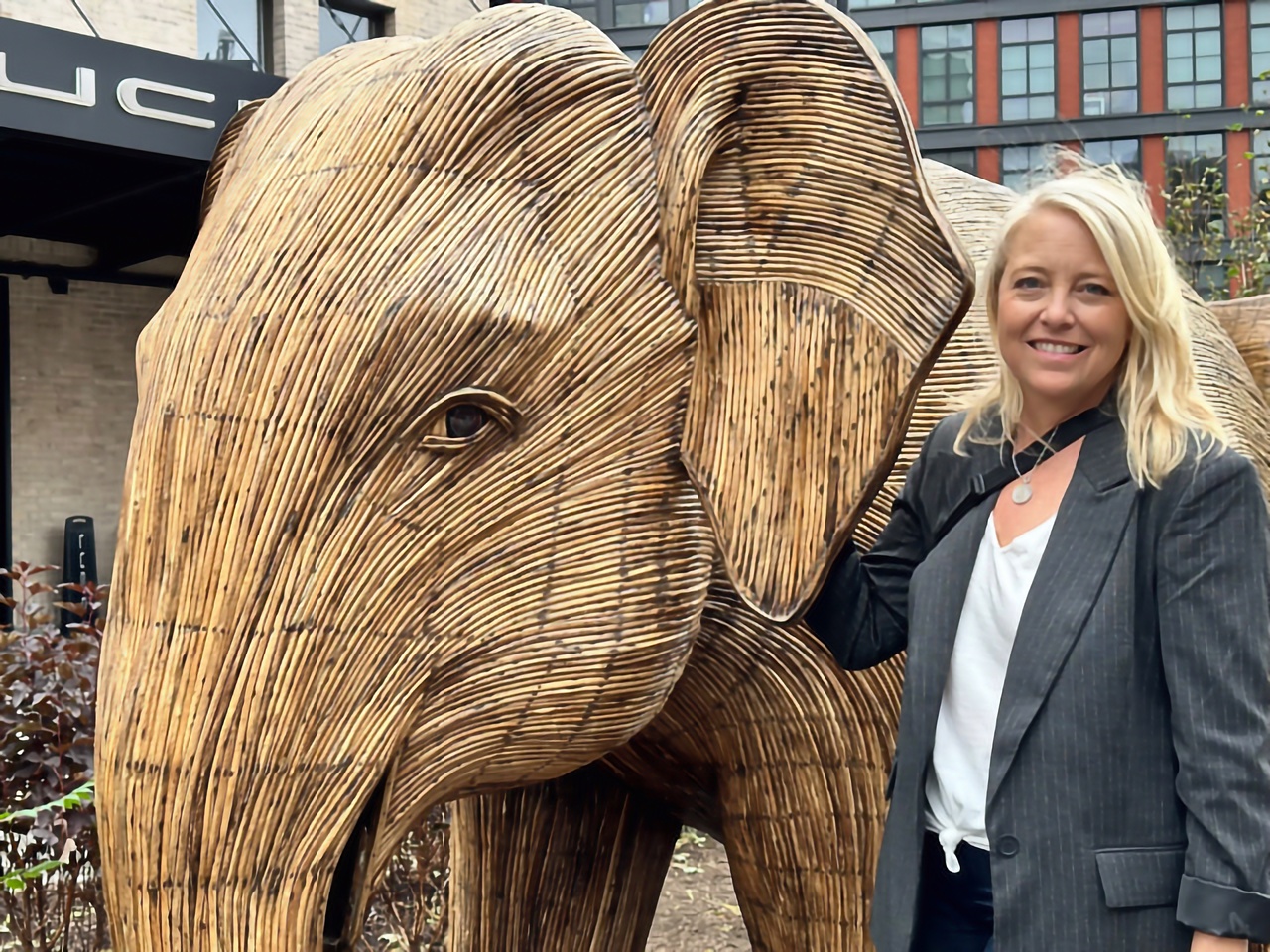The Great Elephant Migration, Climate Week 2024 The Great Elephant Migration, Climate Week 2024.