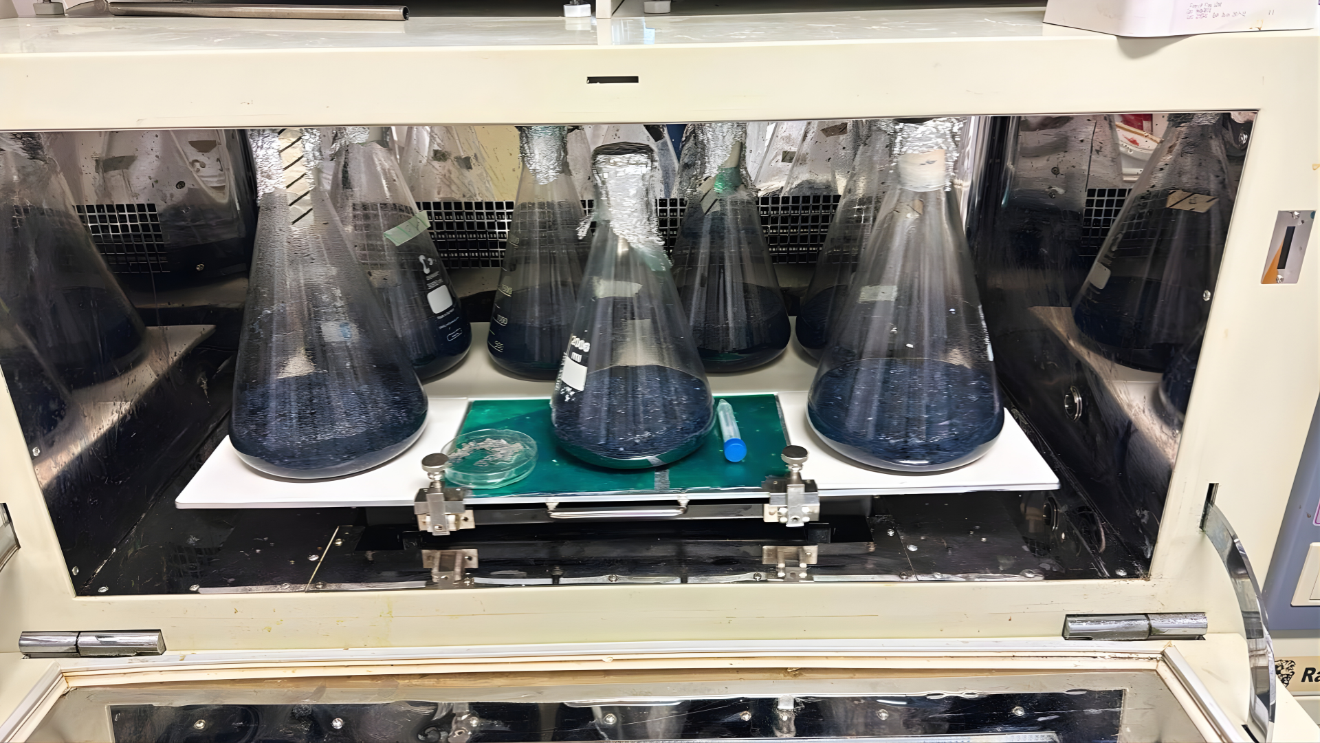 Through this integrated system, enzymatic hydrolysis breaks down plant-based fibers in textiles into recoverable glucose. Photo by Fabiola Polli from BioFashionTech. Through this integrated system, enzymatic hydrolysis breaks down plant-based fibers in textiles into recoverable glucose. Photo by Fabiola Polli from BioFashionTech.