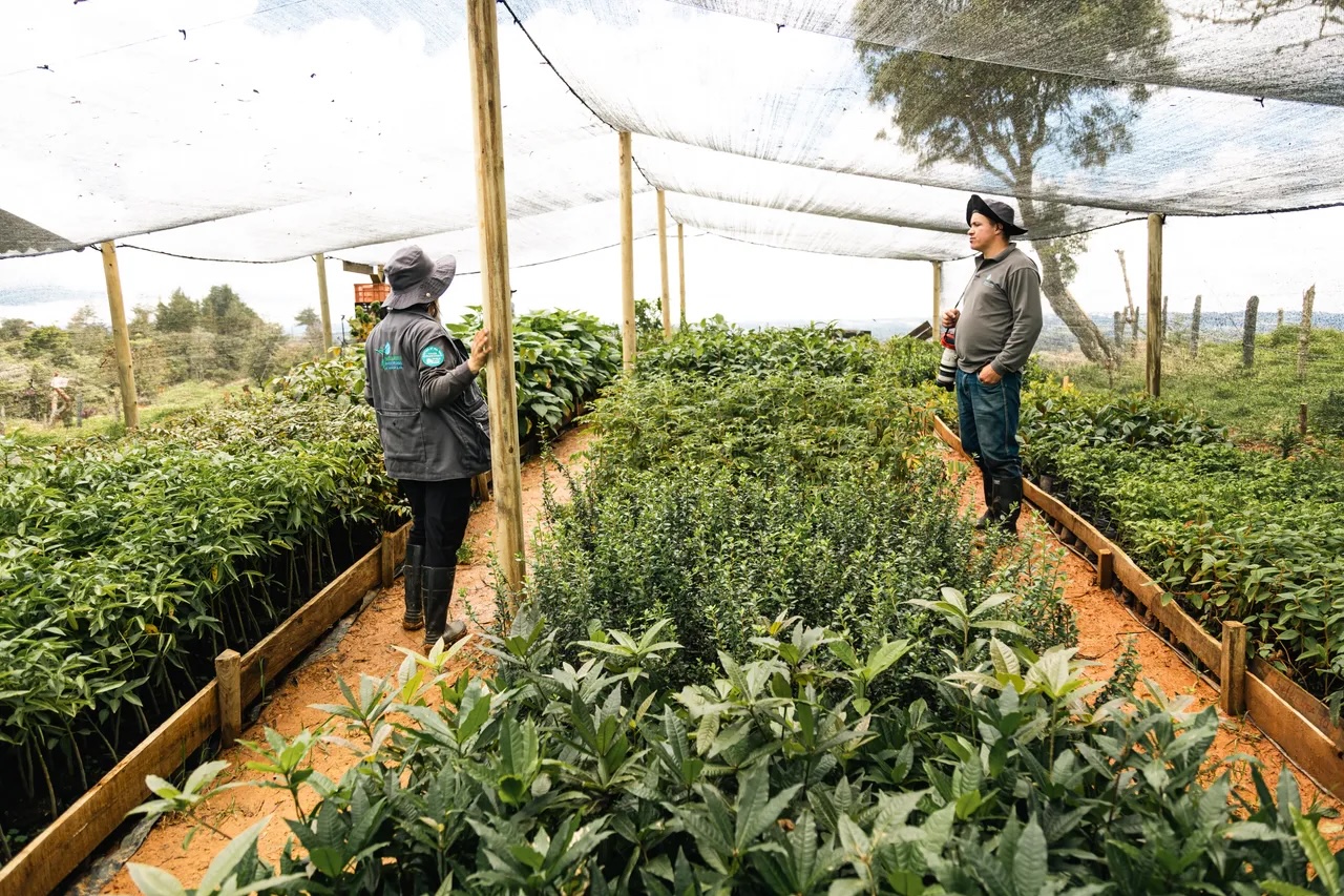 Propagation of native species for High-Andean forests. Image Credit: Ma Earth. Propagation of native species for High-Andean forests. Image Credit: Ma Earth.