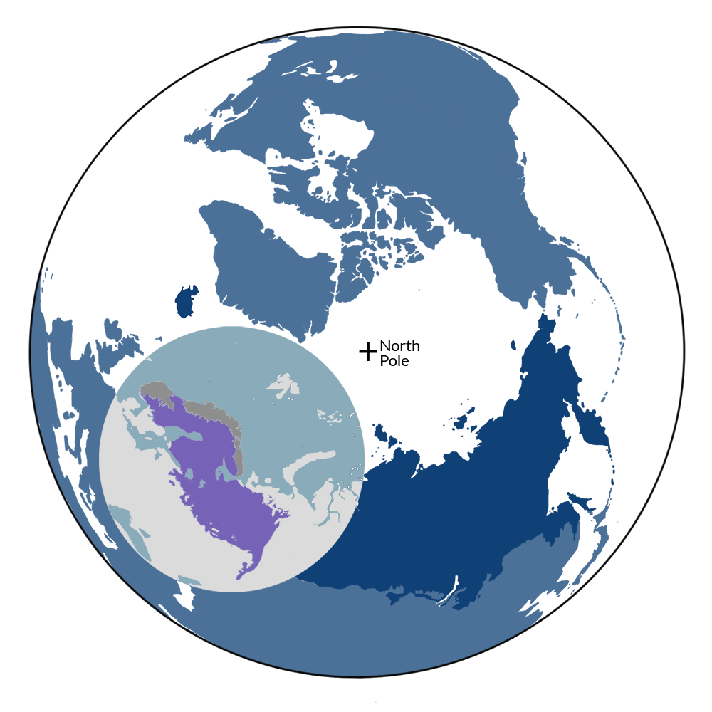 The Ural Mountains & West Eurasian Taiga Forests bioregion (PA8) is part of the Scandinavia & West Boreal Forests subrealm located in the Subarctic Eurasia realm. The Ural Mountains & West Eurasian Taiga Forests bioregion (PA8) is part of the Scandinavia & West Boreal Forests subrealm located in the Subarctic Eurasia realm.
