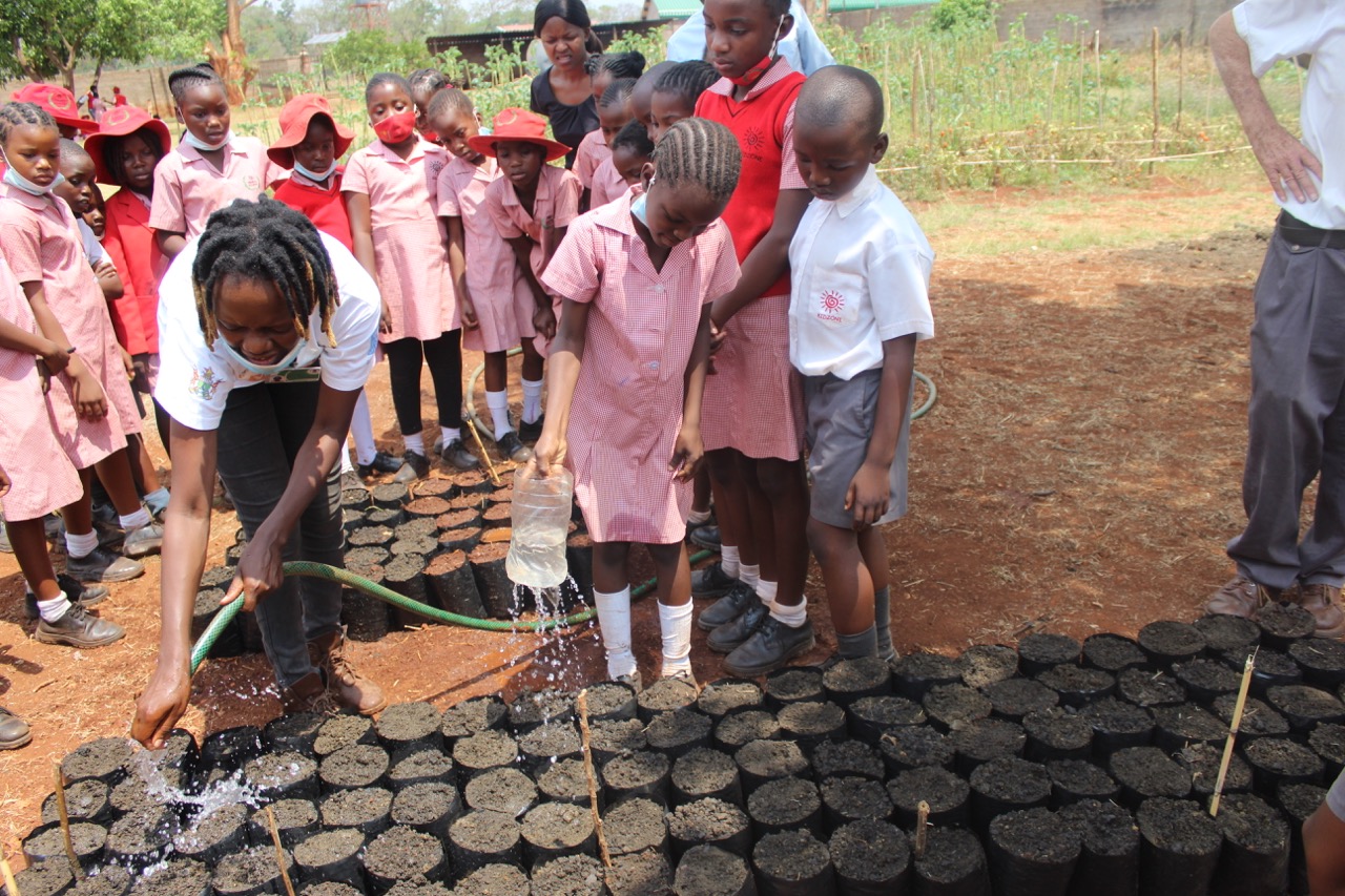 indigenous tree nursery establishment at a school. Image credit Courtesy of Research and Education for Sustainable Actions indigenous tree nursery establishment at a school. Image credit Courtesy of Research and Education for Sustainable Actions