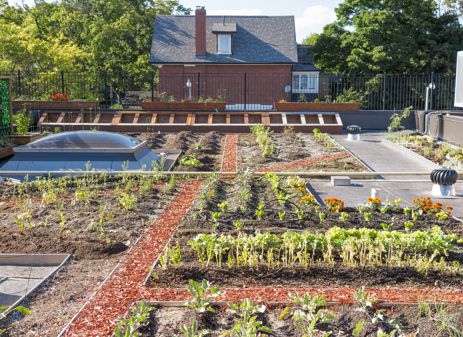 Rooftop gardens like the ones that can be seen throughout Portland. Image Credit: Alisonh29 | Dreamstime.com. Rooftop gardens like the ones that can be seen throughout Portland. Image Credit: Alisonh29 | Dreamstime.com.