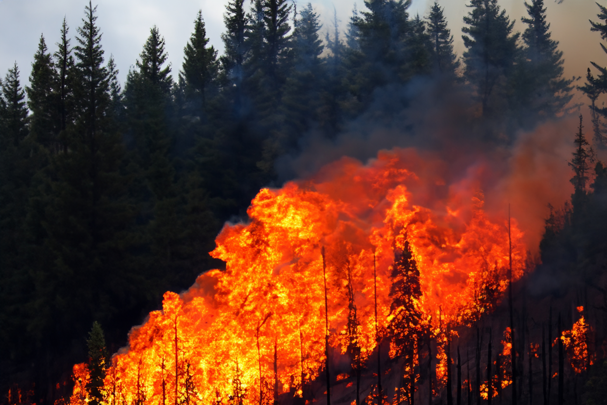 Canadian fires. Image Credit: © Fernando Astasio, Dreamstime. Canadian fires. Image Credit: © Fernando Astasio, Dreamstime.