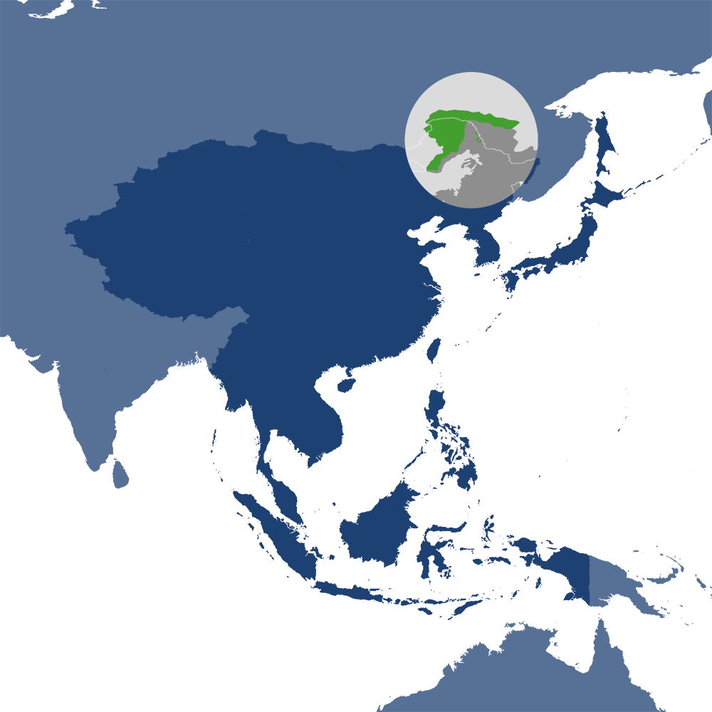 The Dzhagdy Mountain Conifer Forests bioregion (PA45), is located in the Northeast Asian Forests subrealm in Eastern Eurasia. The Dzhagdy Mountain Conifer Forests bioregion (PA45), is located in the Northeast Asian Forests subrealm in Eastern Eurasia.