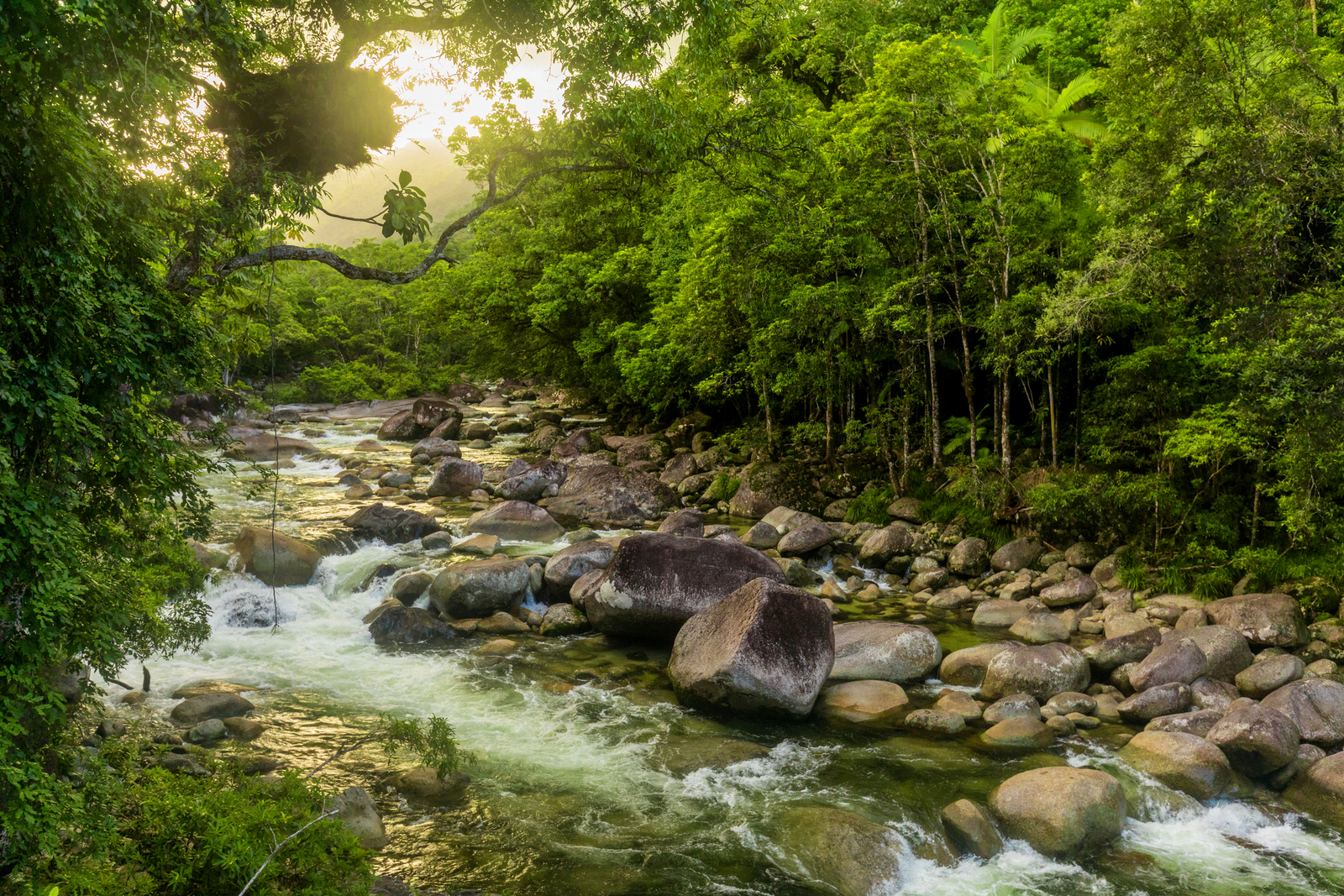 Mossman Gorge, a river in Daintree National Park, north Queensland, Australia. Image Credit: © Martin Valigursky | Dreamstime.com. Mossman Gorge, a river in Daintree National Park, north Queensland, Australia. Image Credit: © Martin Valigursky | Dreamstime.com.