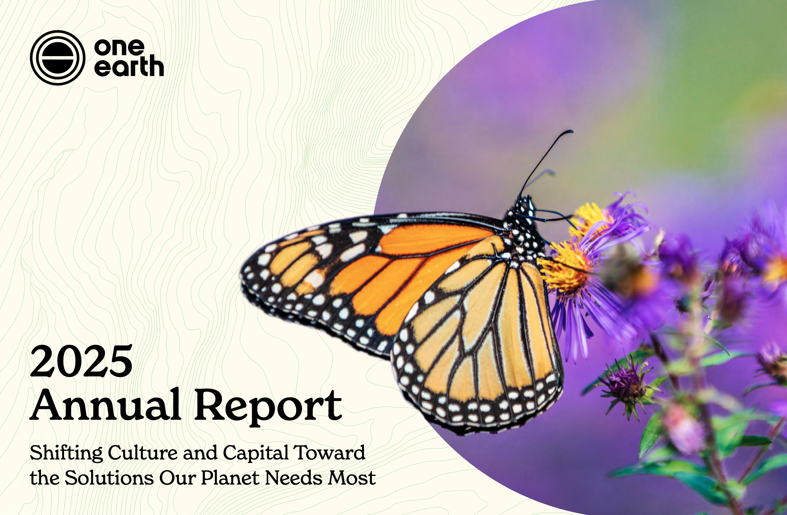 2025 annual report | One Earth