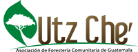 Utz Che'