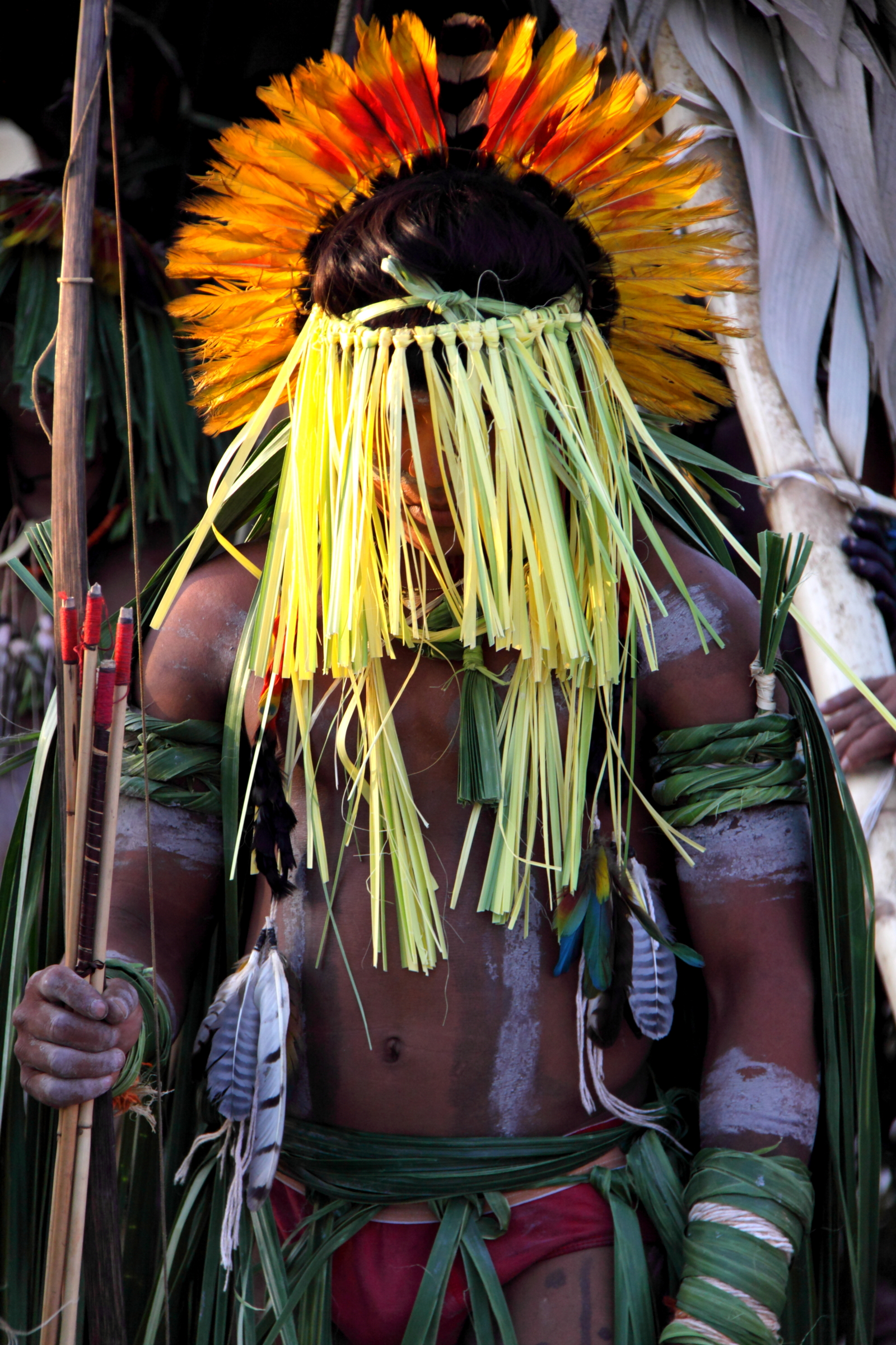 A member of the Enawenê Nawê displaying vibrant featherwork headdress. Image Credit: Yves Picq. Wiki Commons. A member of the Enawenê Nawê displaying vibrant featherwork headdress. Image Credit: Yves Picq. Wiki Commons.