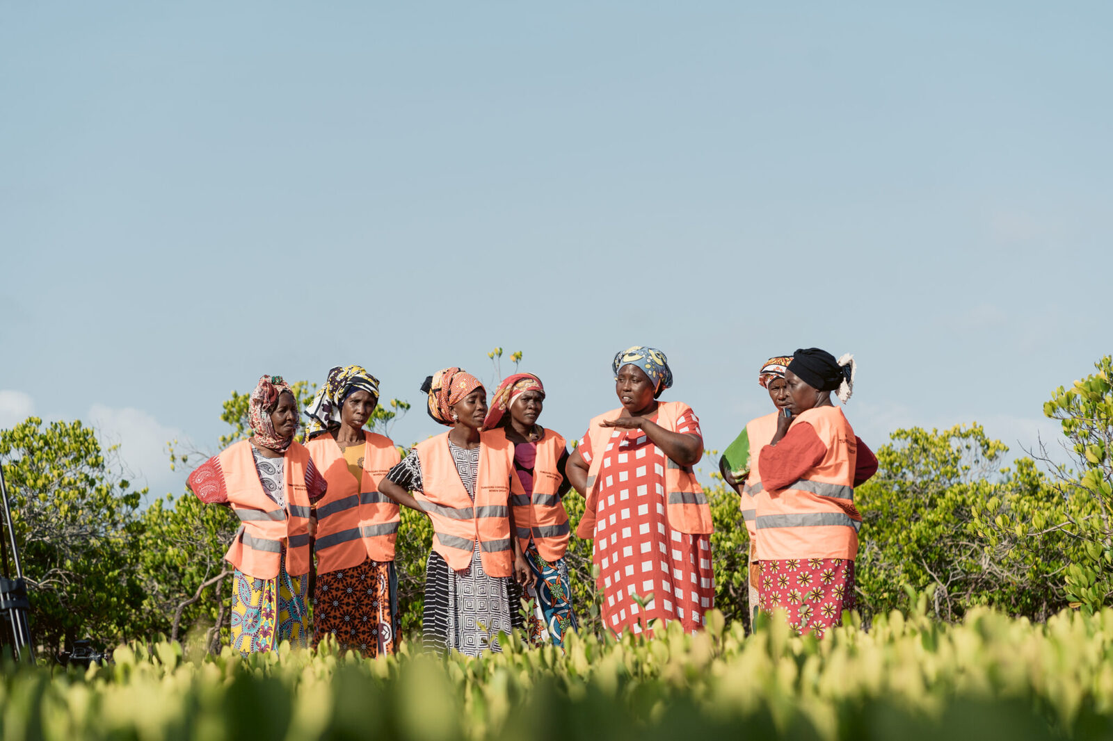 The Munje Tunusuru Women's Group manages mangrove nurseries, raising thousands of seedlings to restore Kenya’s coastline. Image Credit: CORDIOEA. The Munje Tunusuru Women's Group manages mangrove nurseries, raising thousands of seedlings to restore Kenya’s coastline. Image Credit: CORDIOEA.