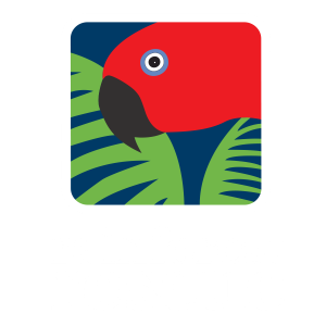 Rainforest Rescue