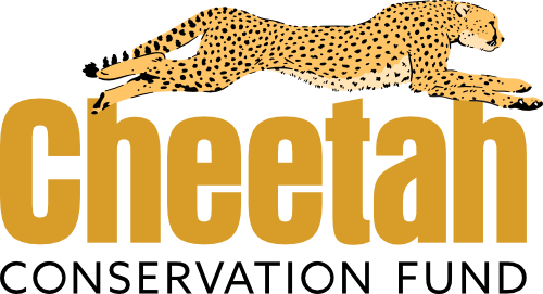 Cheetah Conservation Fund