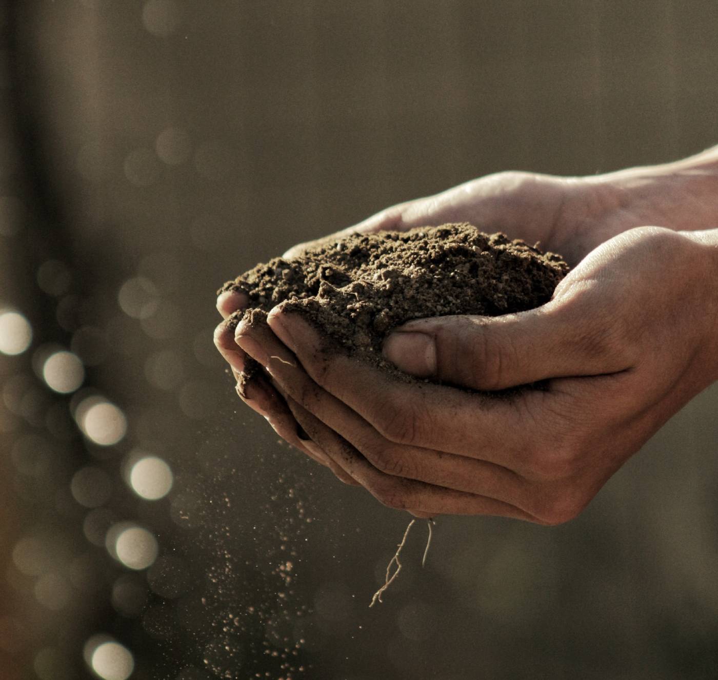 Soil in hands Soil in hands. Image credit: Gabriel Jimenez, Unsplash