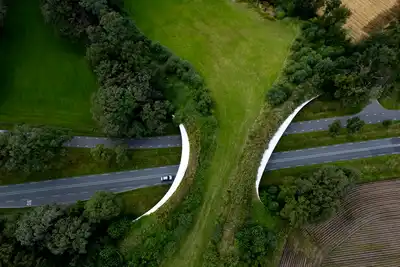 Wildlife Connectivity
