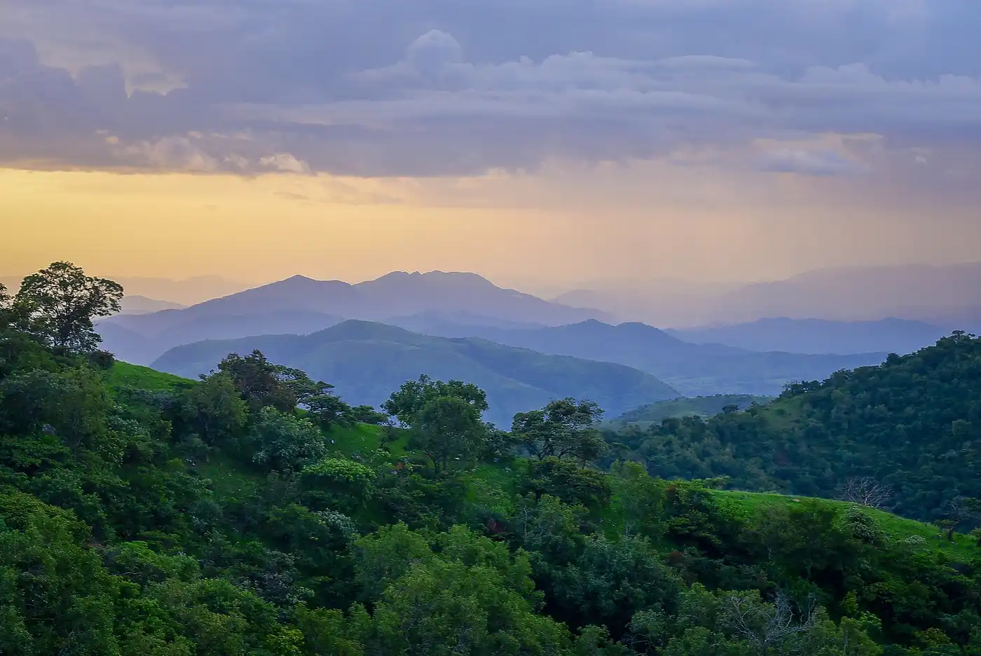 Mandara Mountain & North Congolian Forest-Savannas (AT16)