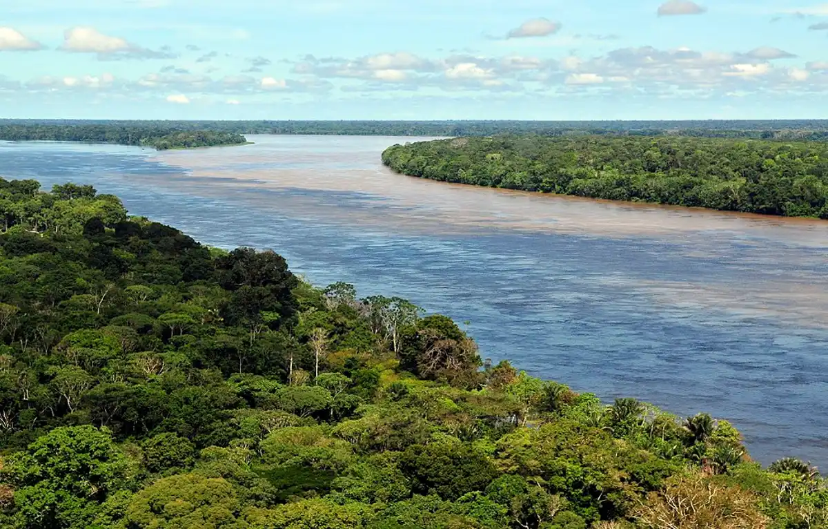 Brazil Cerrado & Atlantic Coast
