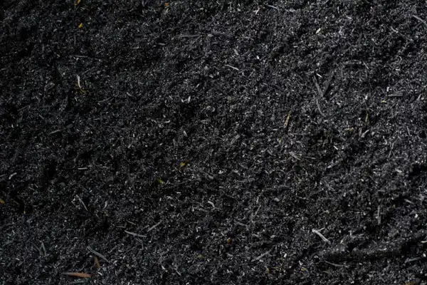 Sustainable Biochar