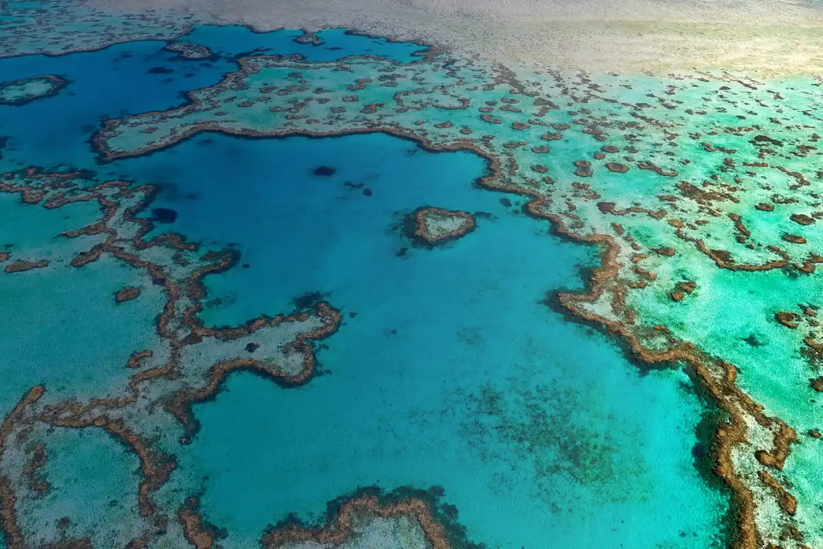 Australasia Realm
