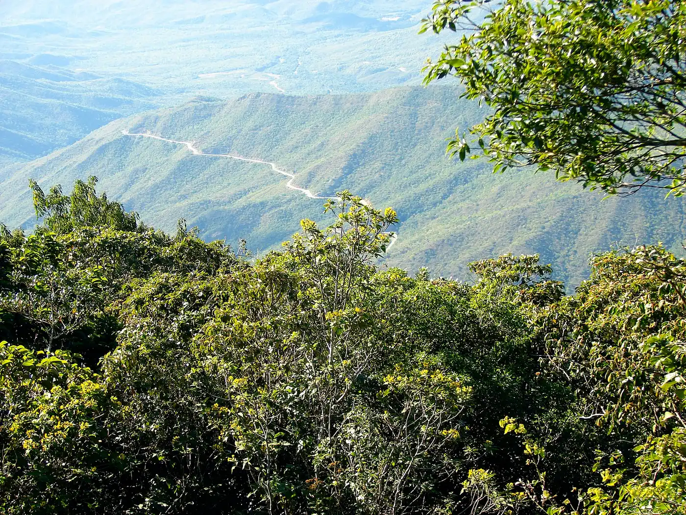 Venezuelan Coast (NT23)