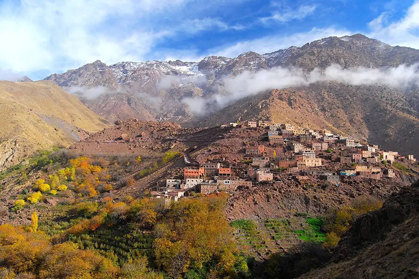 South Mediterranean Mixed Woodlands & Forests (PA23)