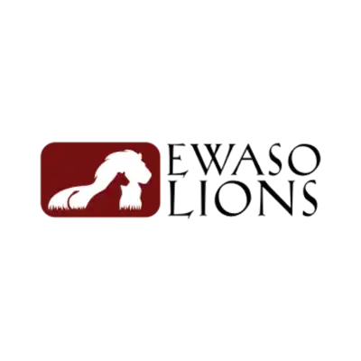 Ewaso Lions