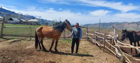 Reconnecting the Indigenous Peoples of Central Asia to Preserve their Natural Landscapes and Promote Sustainable Food Systems