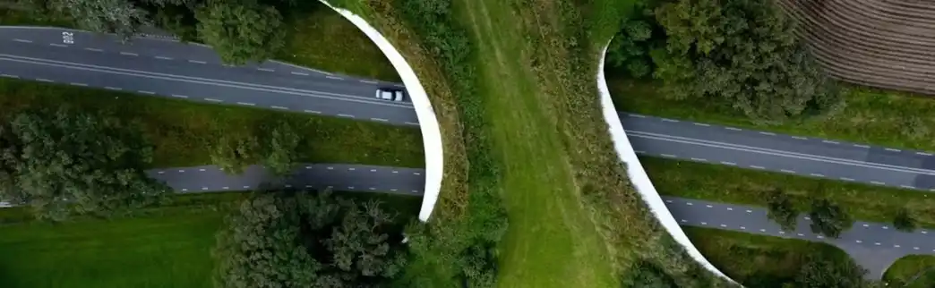 Wildlife Connectivity