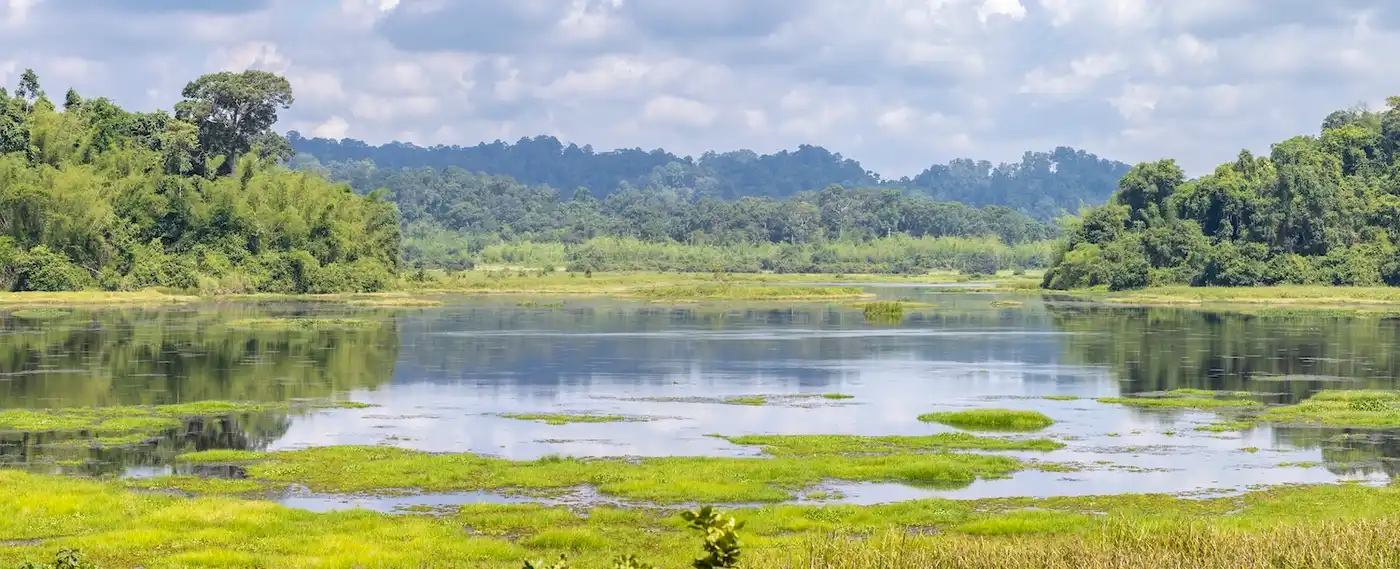 Indochina Mixed Forests & Peatlands (IM12)