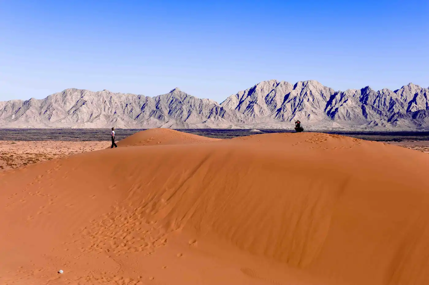 Baja California & Southern Deserts (NA30)