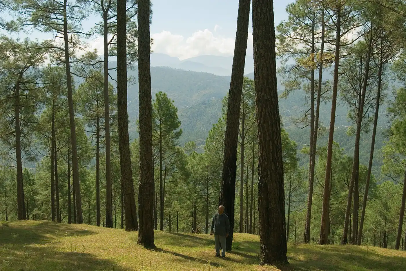 Himalayan Mixed Forests & Grasslands (IM5)