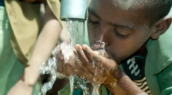 Water Stewardship