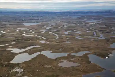 North Alaskan Tundra (NA3)
