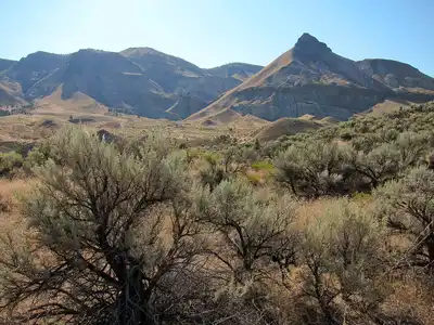 Columbia Plateau & Blue Mountains (NA17)