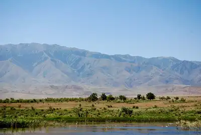 Junggar Semi-Desert & Ermin Valley Steppe (PA38)
