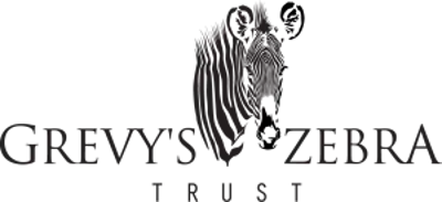 Grevy's Zebra Trust