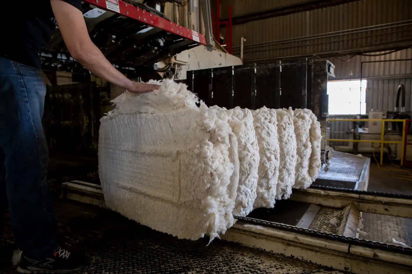 Catalyzing Agroecological Regeneration through the California Cotton and Climate Coalition