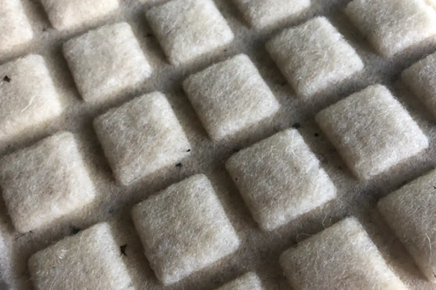 In a plastic-choked world, sheep’s wool could provide an answer