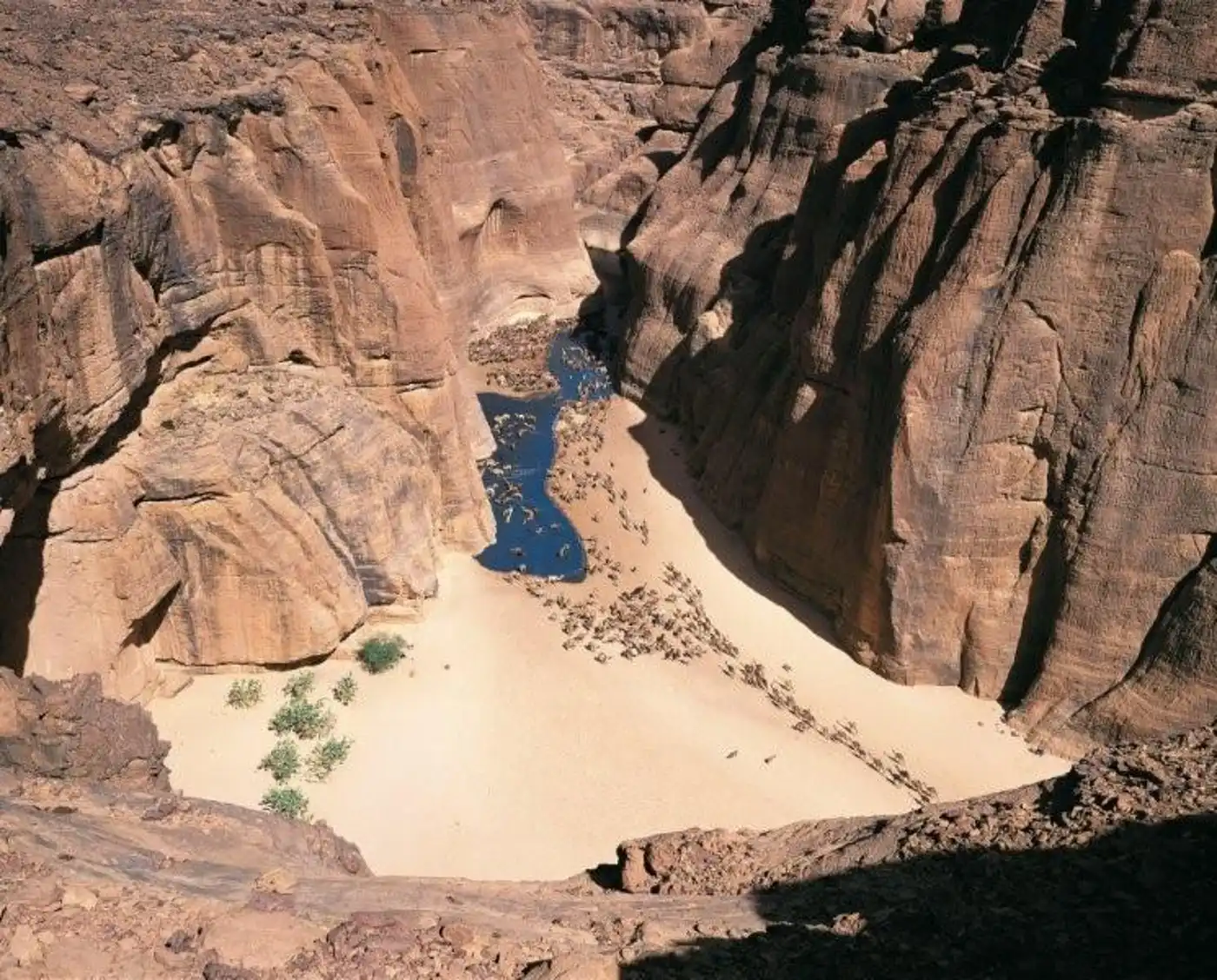 Southern Sahara Deserts & Mountain Woodlands (PA25)